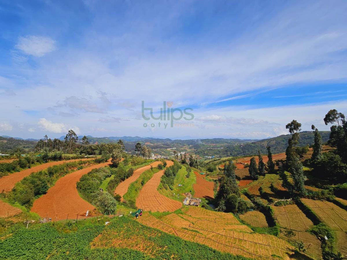 Tulips Village Resorts Ooty Ngoại thất bức ảnh
